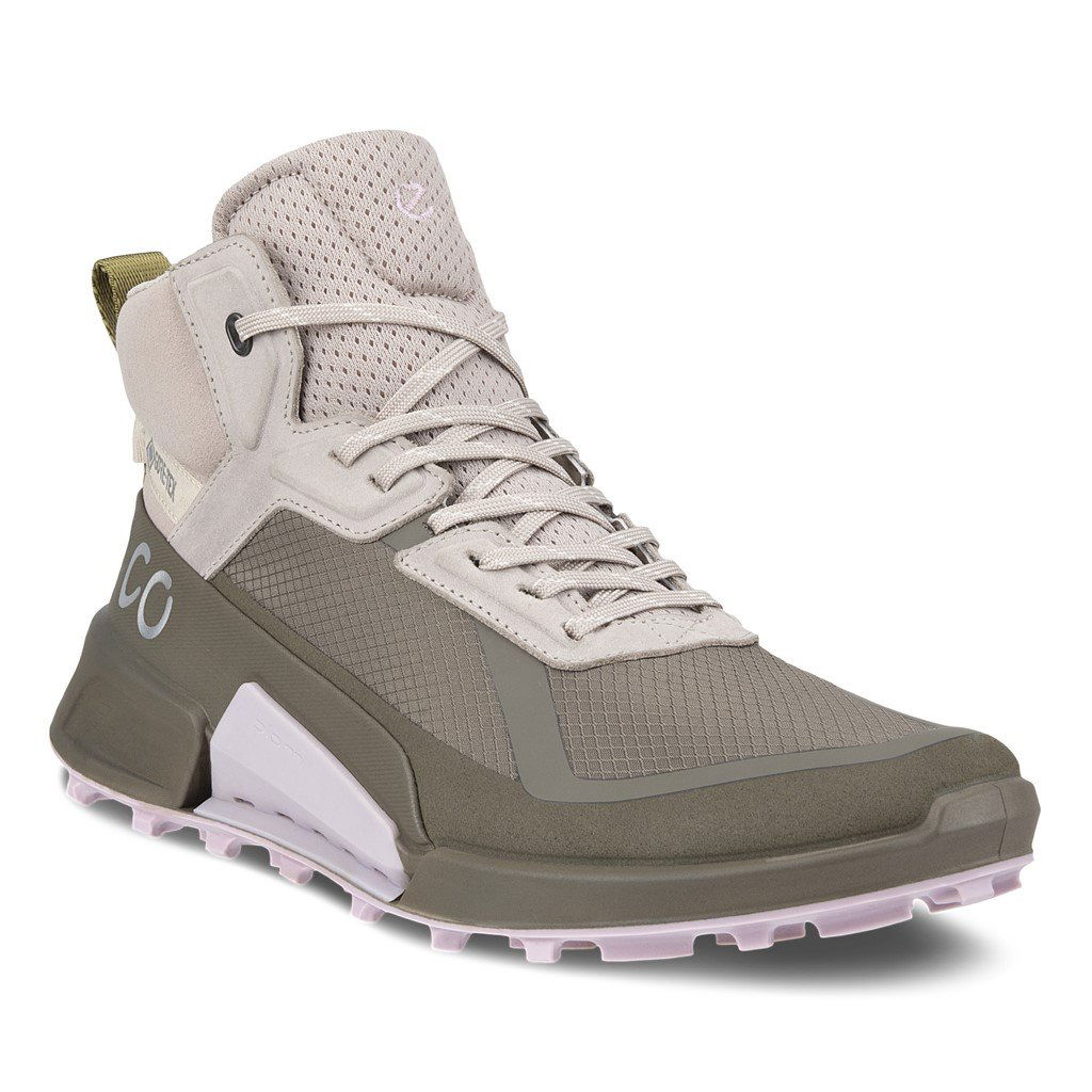 Ecco Biom 2.1 X Mountain Mid Gore-Tex Vinterstøvle til kvinder