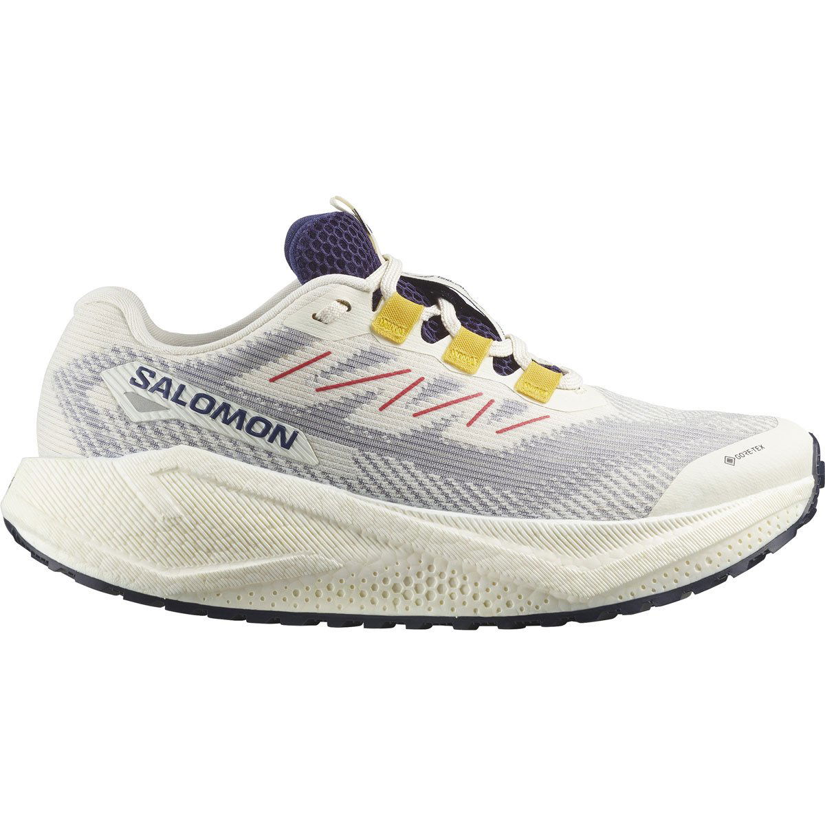 Salomon Aero Blaze 3 Grvl Gore-Tex Løbesko Dame - Tilbud!