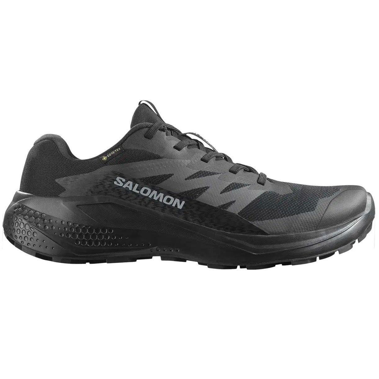 Salomon Alphaglide Gore-Tex Vandresko til Herre på Tilbud