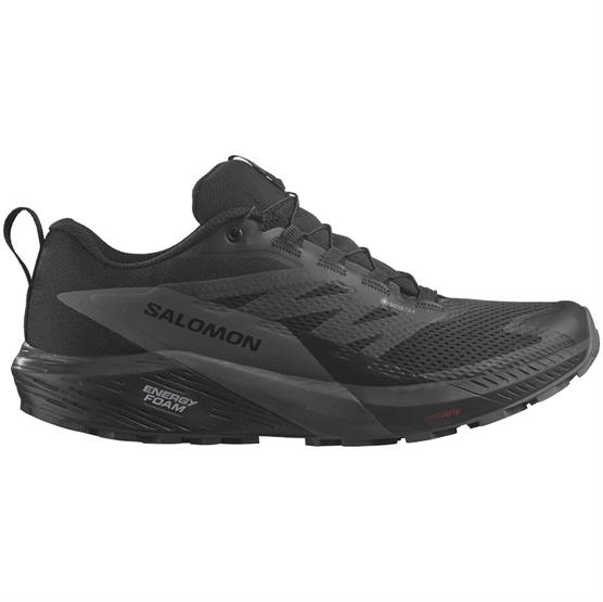 Salomon Sense Ride 5 GTX Trail Sko – Vandtæt Løbesko!