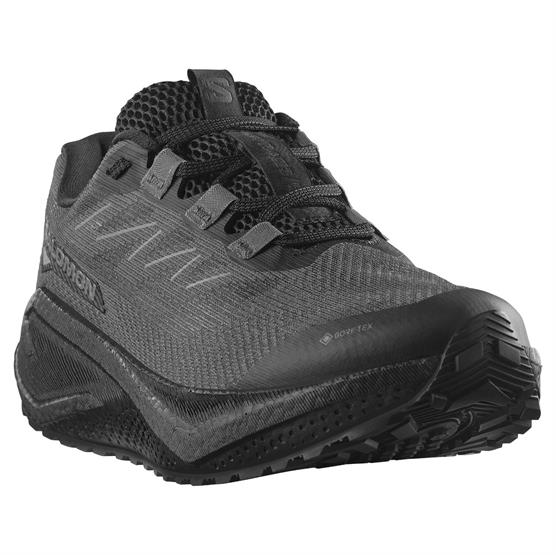 Aero Blaze 3 Grvl Gtx Mens, Black   Asphalt fra Salomon