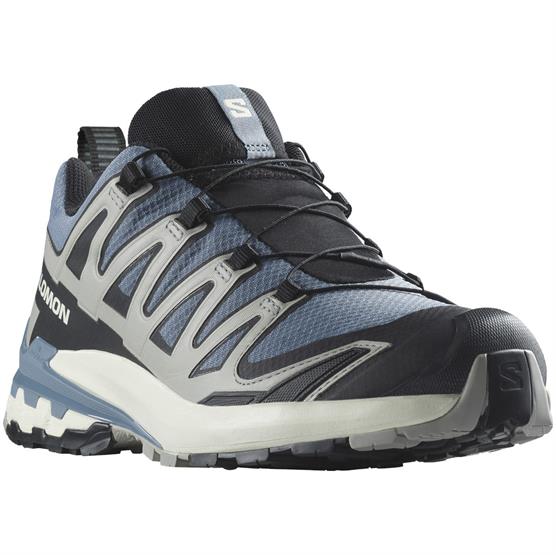 Salomon XA Pro 3D V9 GTX Vandresko til Mænd - Flint Stone