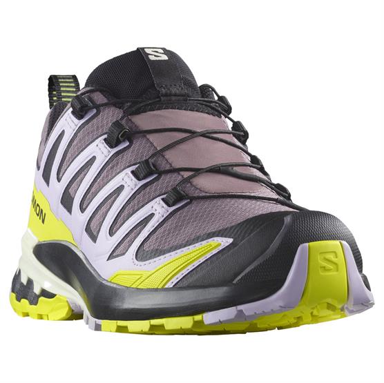 Salomon XA Pro 3D V9 GTX Trailrun Sko til Damer – Moonscape