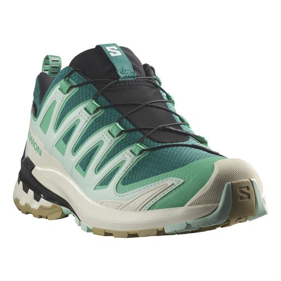 Salomon XA Pro 3D V9 GTX Vandresko – Klar til Eventyr!