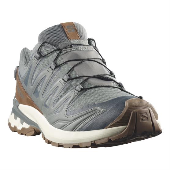 Xa Pro 3d V9 Gtx Lifelong Mens, Sedona Sage   Coyote Brown fra Salomon