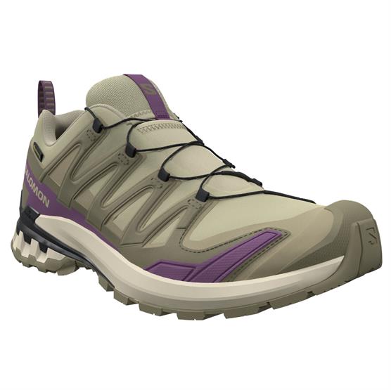 Xa Pro 3d V9 Gtx Womens, Bog   Aloe fra Salomon