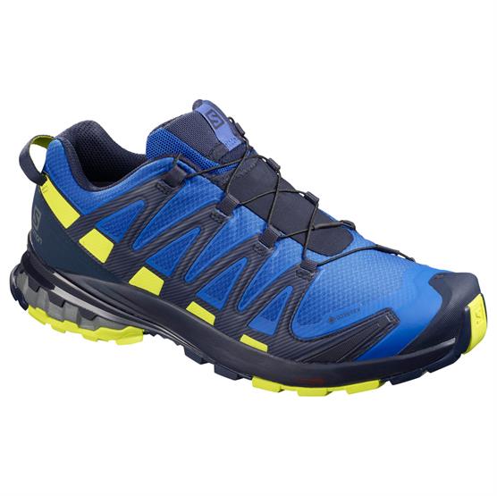 Salomon XA Pro 3D V8 GTX Vandresko til Mænd – Blå Kvalitet