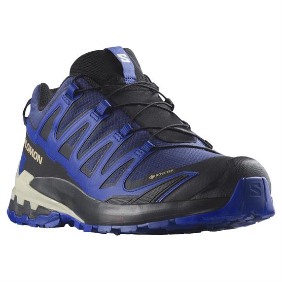 Salomon XA Pro 3D V9 GTX - Vandtæt og Holdbar Herresko