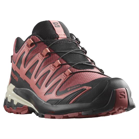 Salomon XA Pro 3D V9 GTX Dame Trailrun Sko – Vandtæt Kvalitet